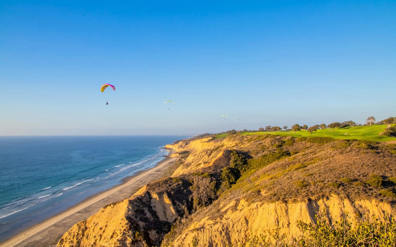 Torrey Pines above the Pacific