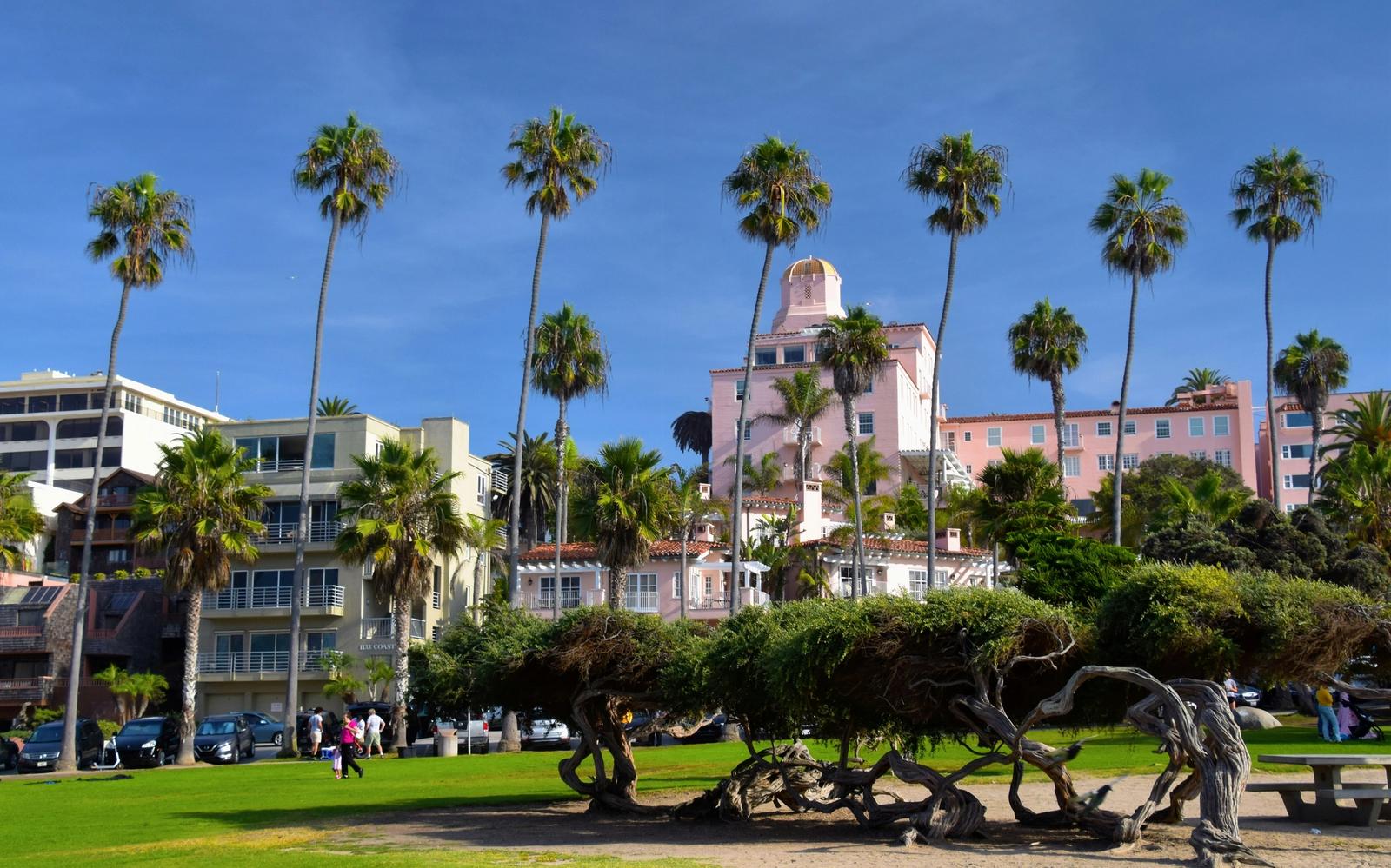 Palms over La Jolla Cove
