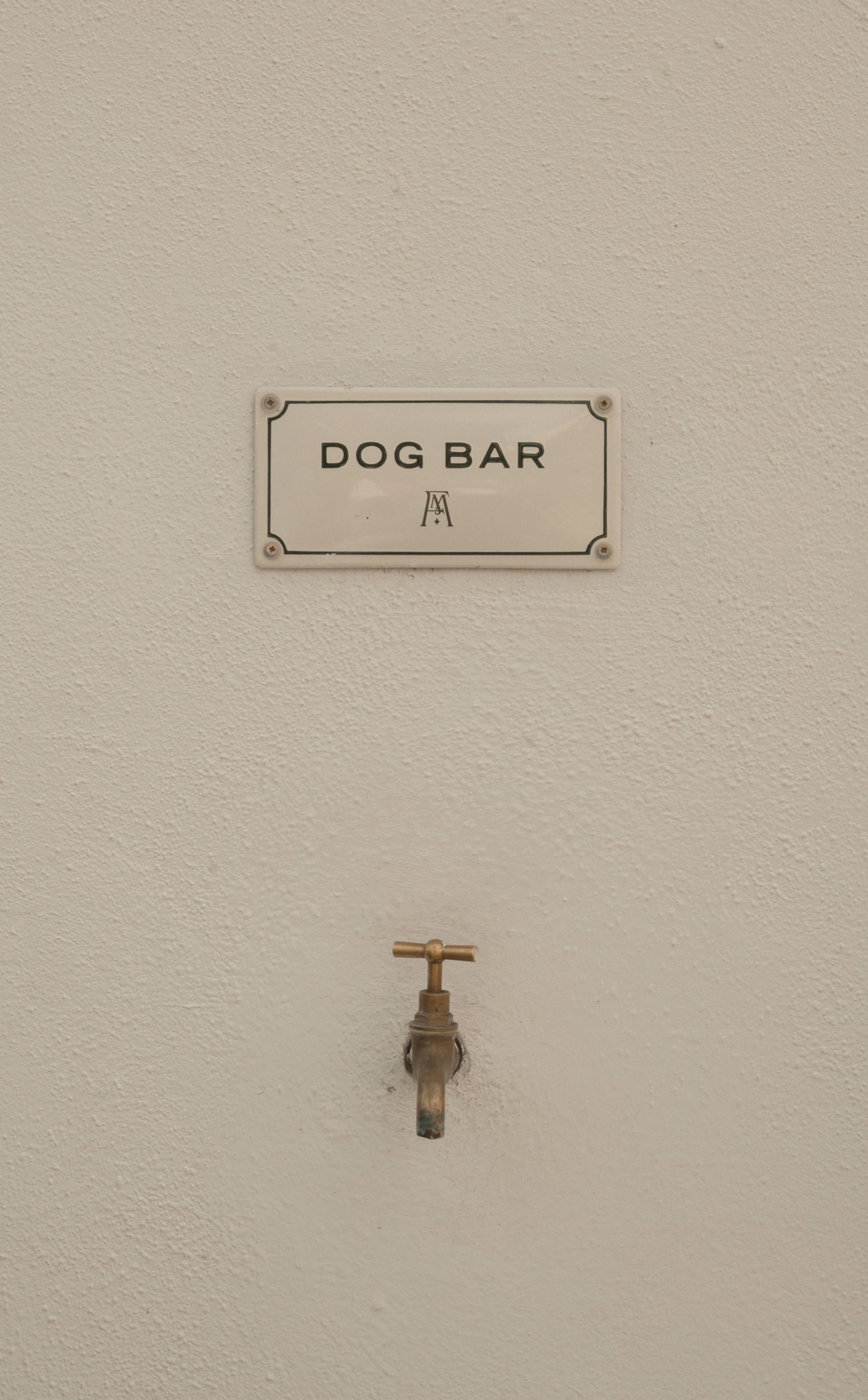 Dog bar at Forum