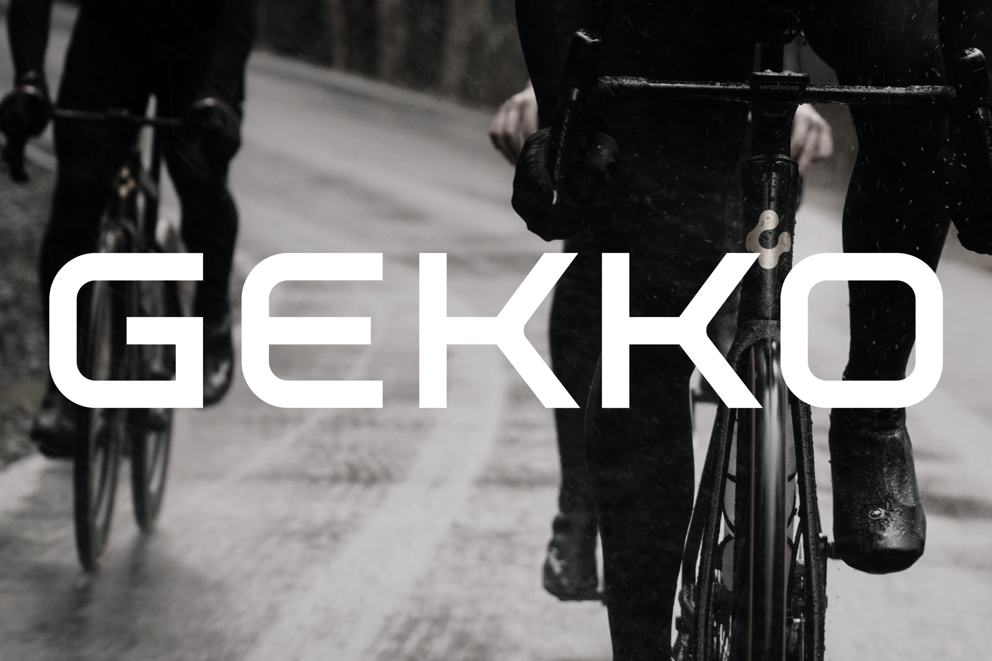Wordmark