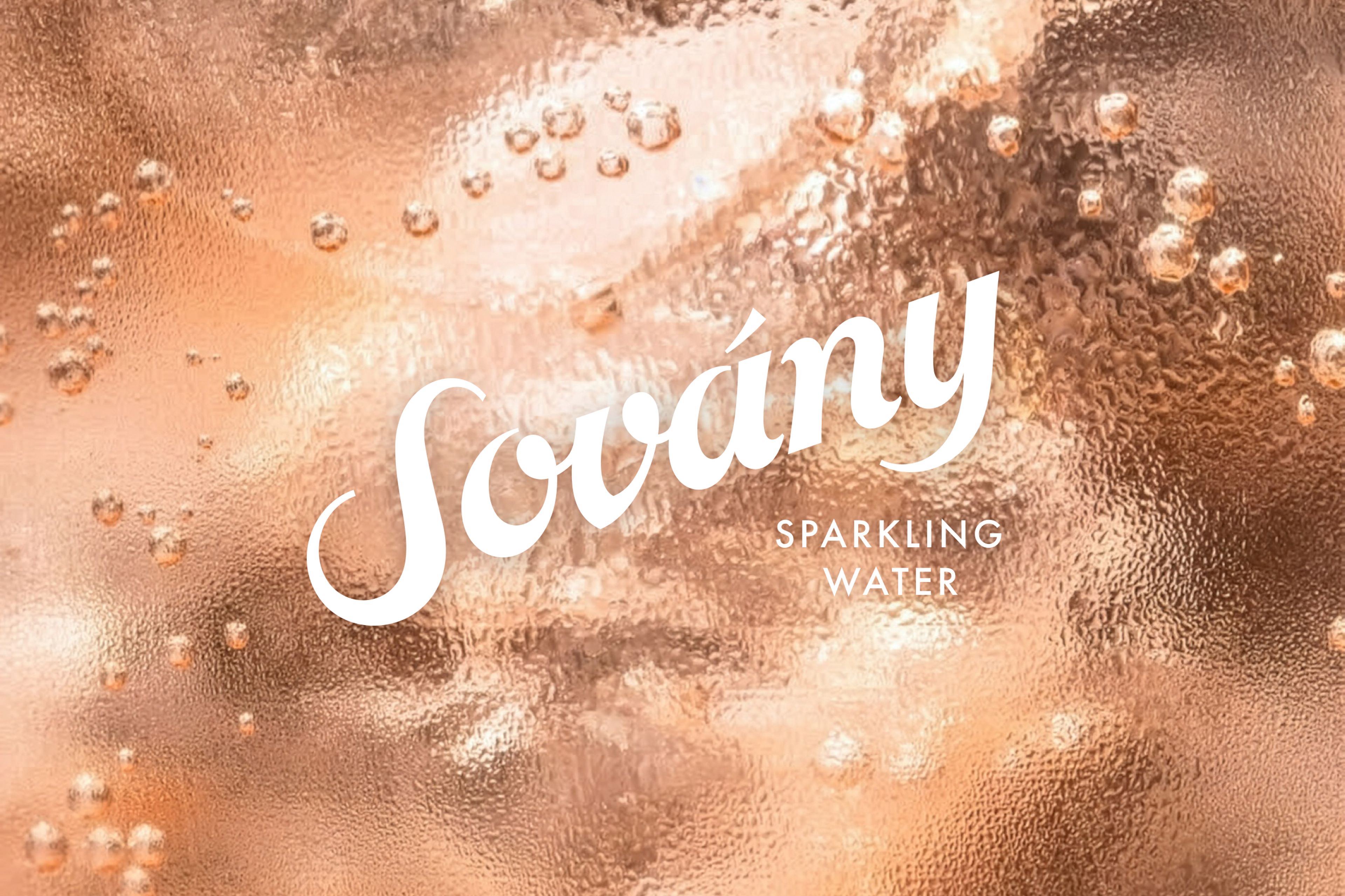 Sovany logo