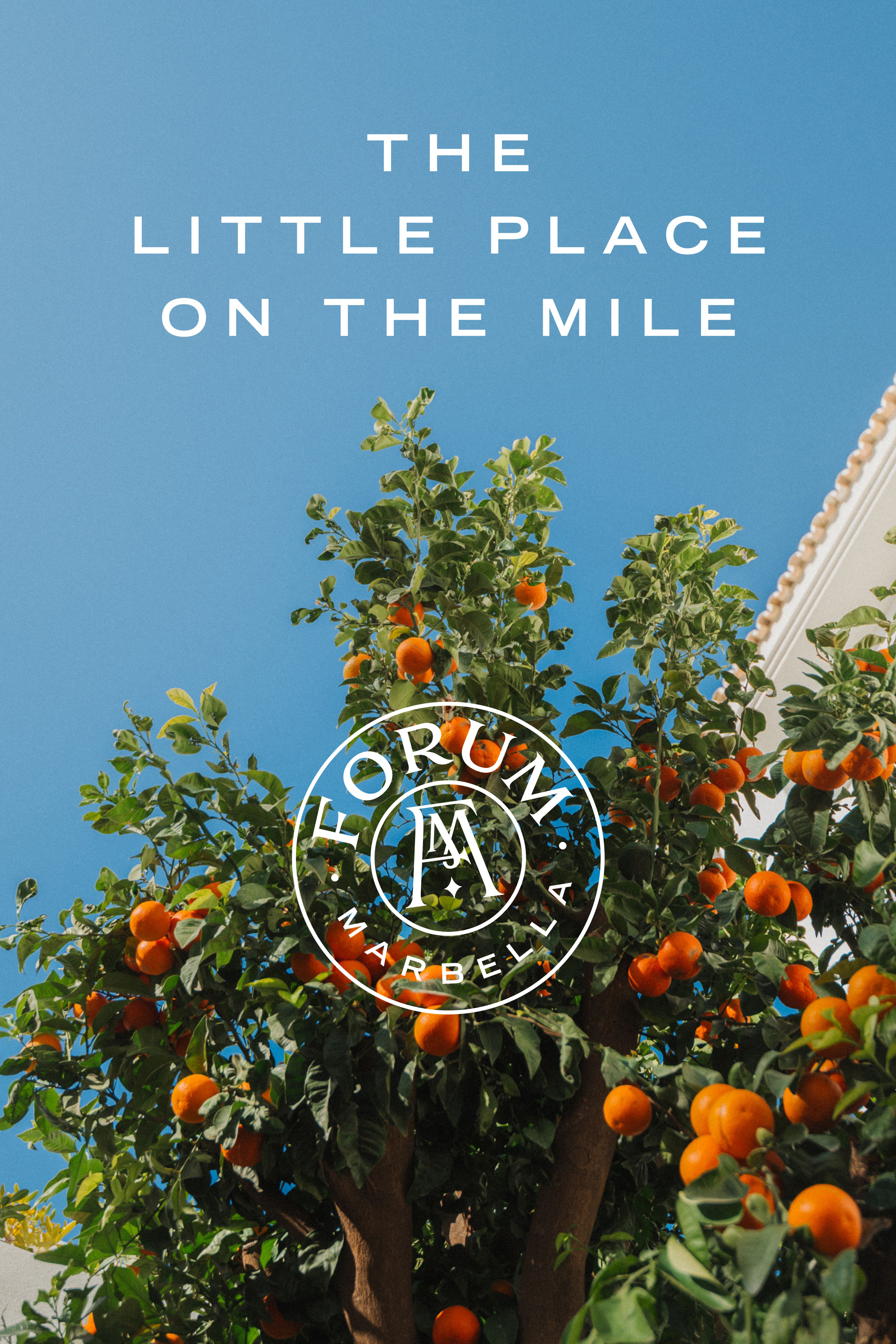 Forum Oranges