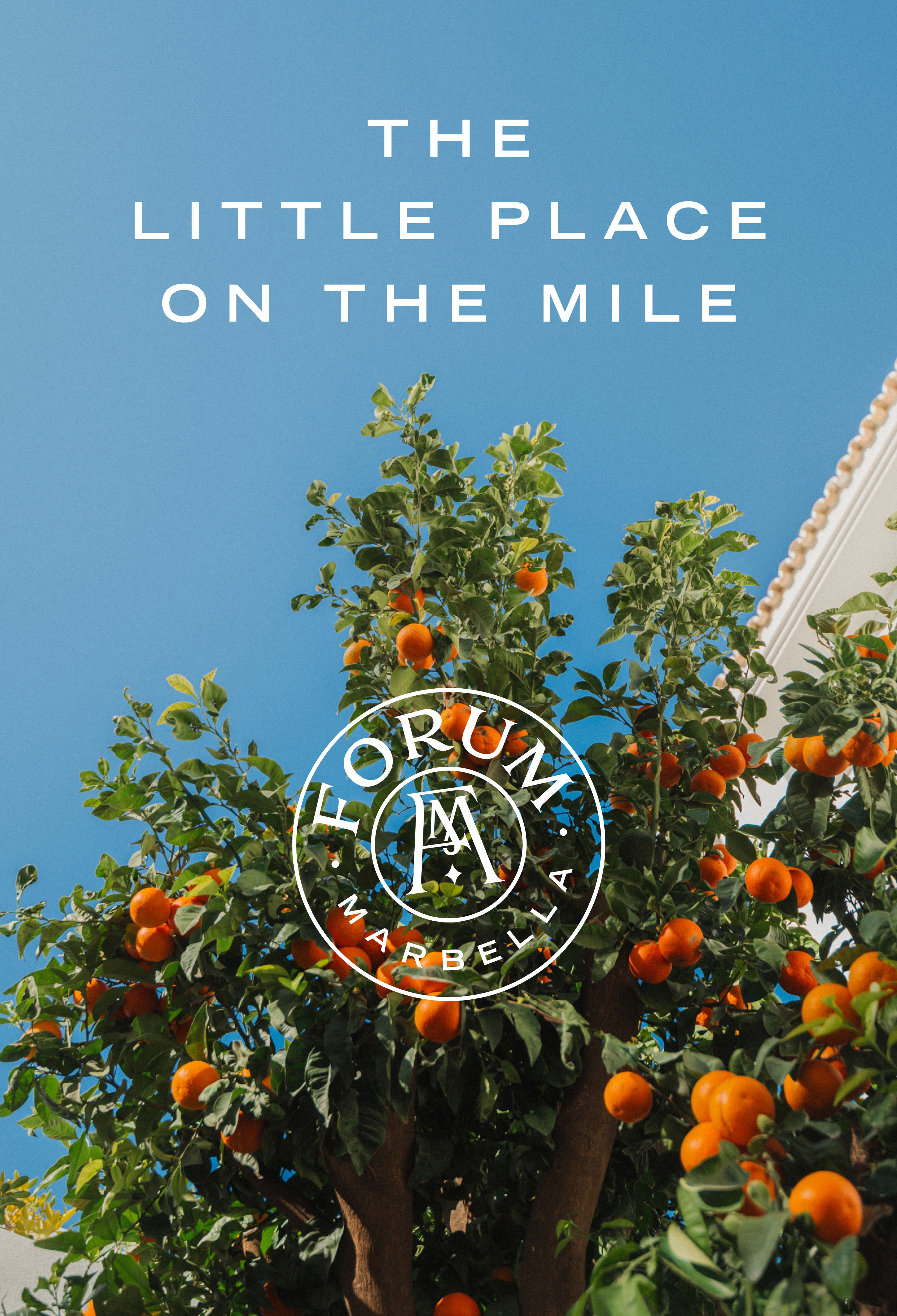 Forum Oranges