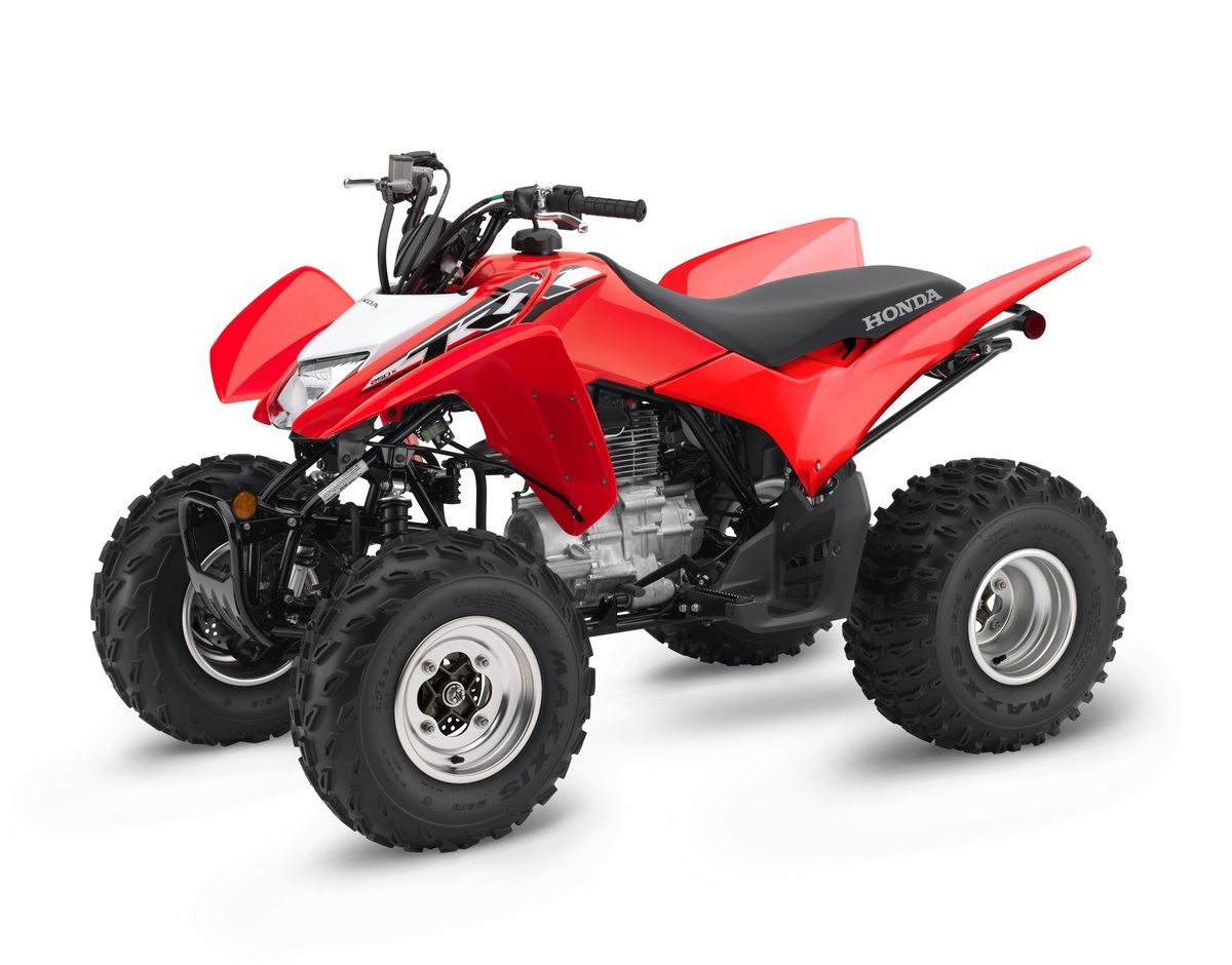 TRX250TE1L - image 1