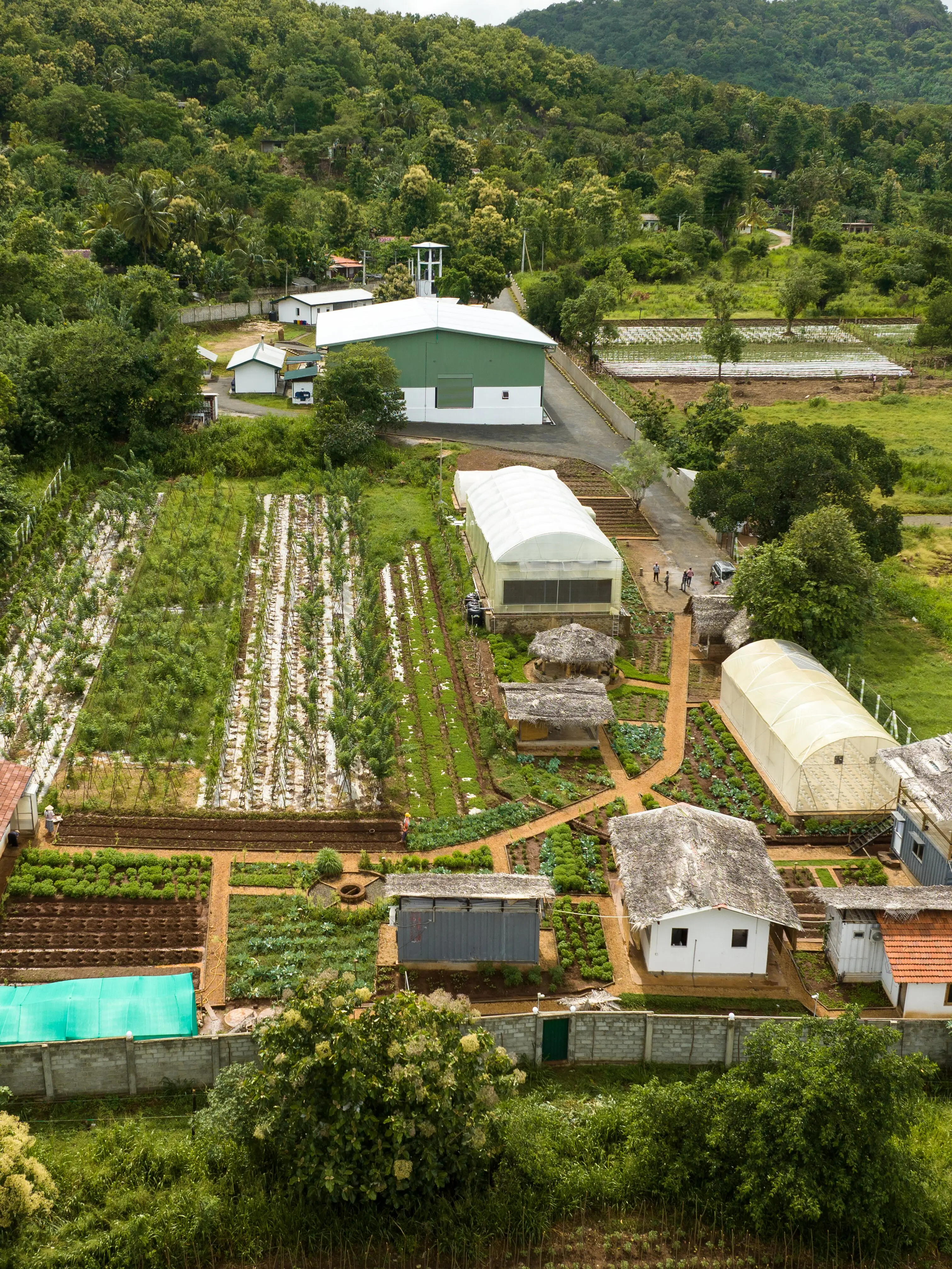 Farm Tour Matale - Elevate Hospitality - EH - Elevate Your Business