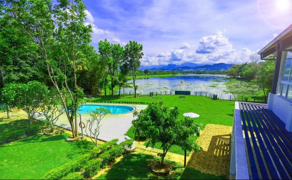 Lavendish Wild Safari - Elevate Hospitality - EH - Elevate Your Business