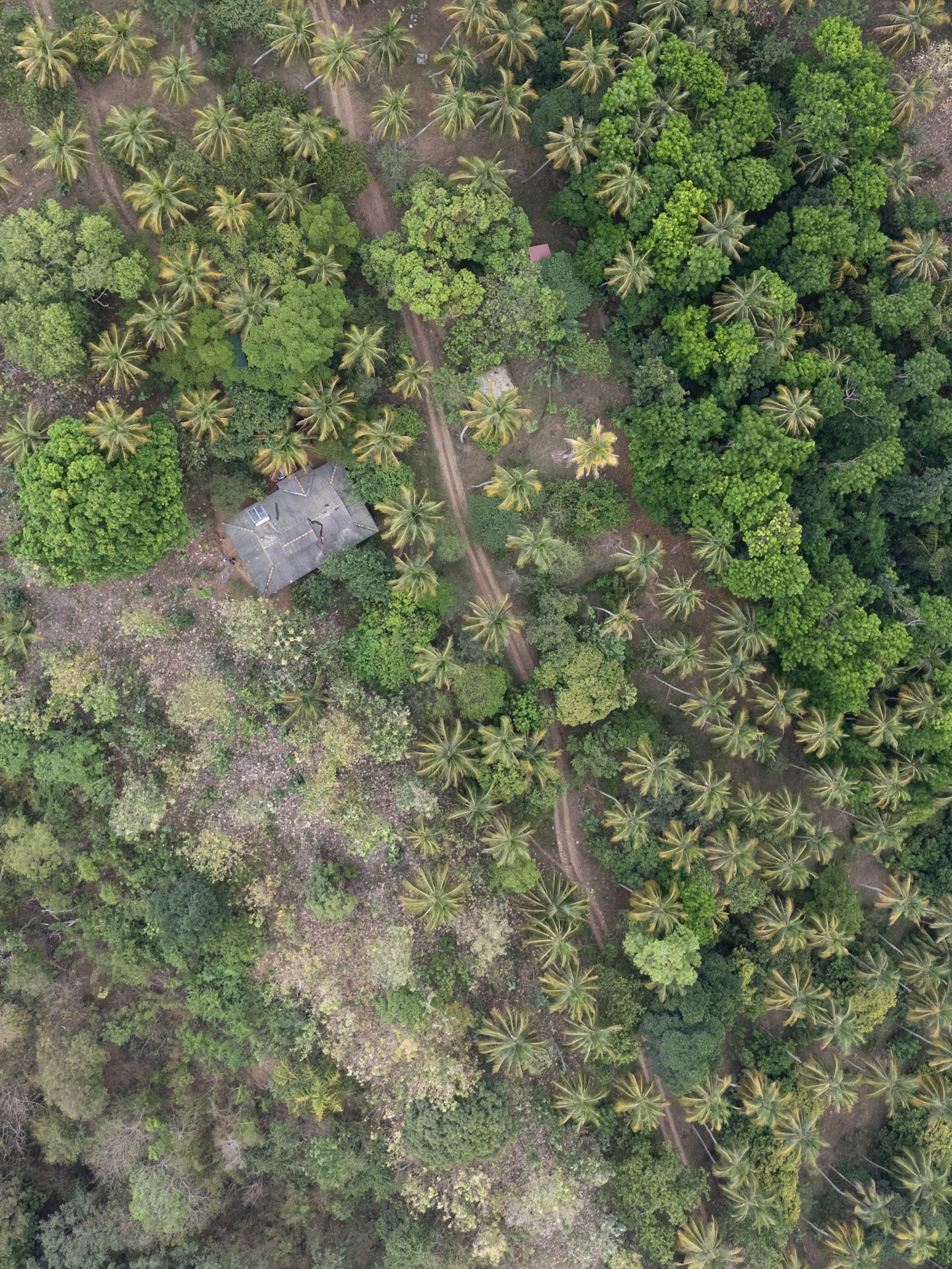 Silvakanda Agroforestry - Elevate Hospitality - EH - Elevate Your Business
