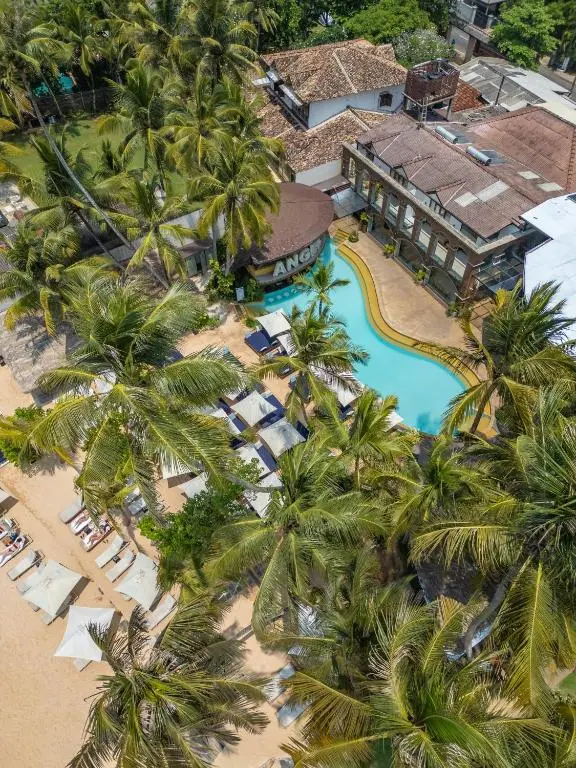 Angel Beach Club - Elevate Hospitality - EH - Elevate Your Business