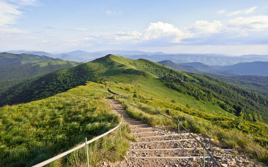 🌲Bieszczady – „bieszczadzkie spotkania z przyrodą”