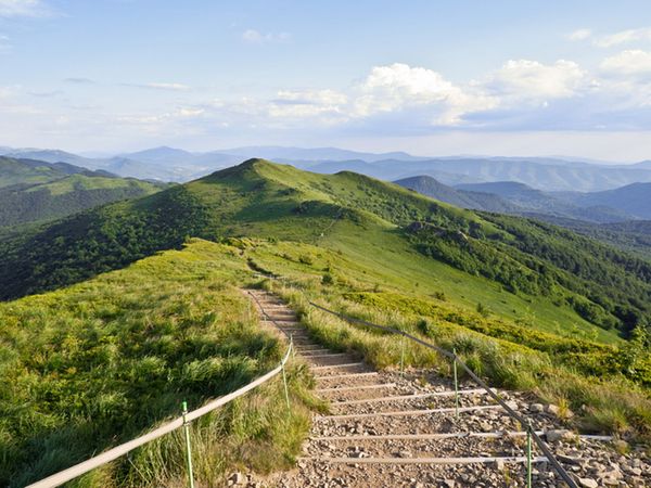 🌲Bieszczady – „bieszczadzkie spotkania z przyrodą”
