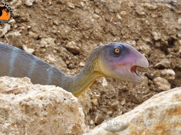 Bałtów „geologiczne odkrycia”