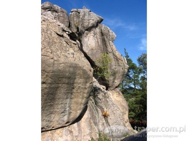 Krosno – Żarnowiec – Odrzykoń - „spotkanie z poezją"