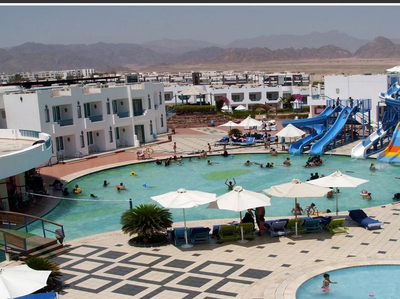 Zdjęcie 11