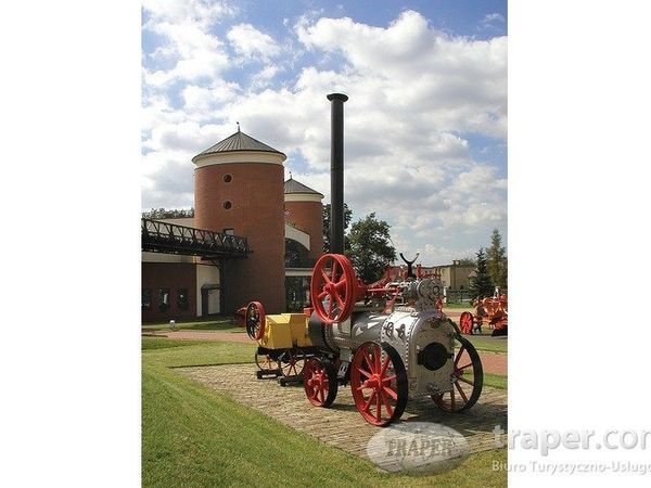 Baranów Sandomierski – Kurozwęki – „Safari Bizon”