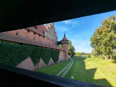 Zdjęcie 10