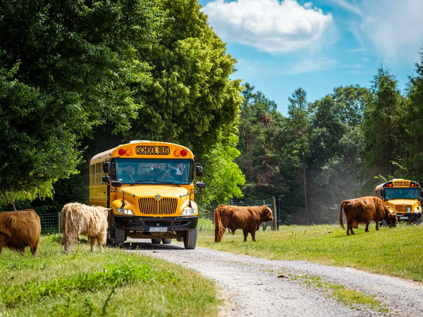 Bałtów „geologiczne odkrycia”