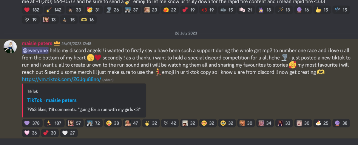 Screengrab of a Discord message.