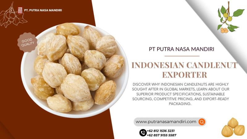 INDONESIAN CANDLENUT EXPORTER: PT PUTRA NASA MANDIRI