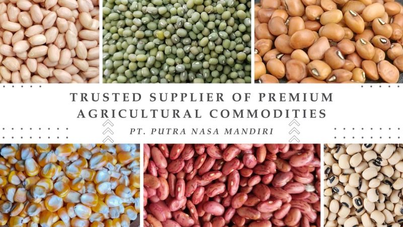 PT Putra Nasa Mandiri: Trusted Supplier of Premium Agricultural Commodities