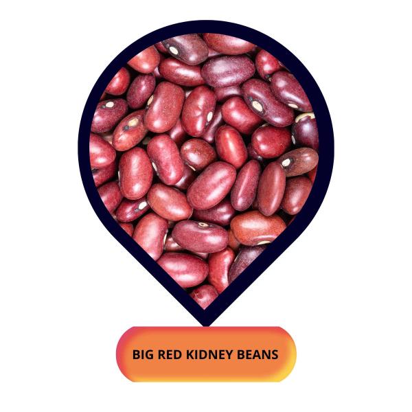 Big Red Kidney Beans