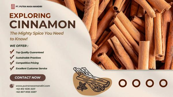 Indonesian Cinnamon for Wholesale Supply
