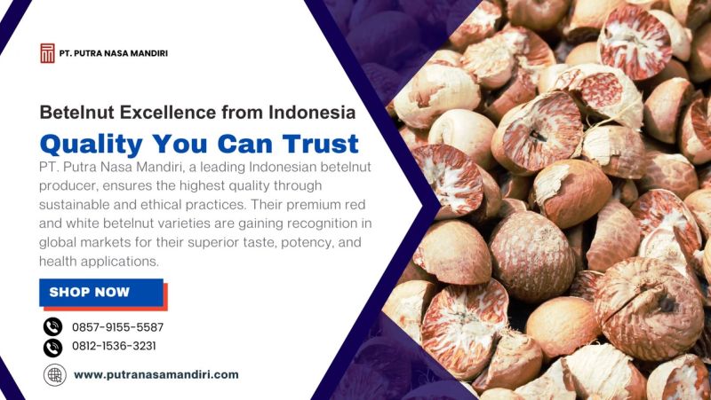 Betelnut Excellence from Indonesia: Quality You Can Trust
