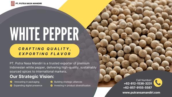 Indonesian White Pepper for Wholesale Supply
