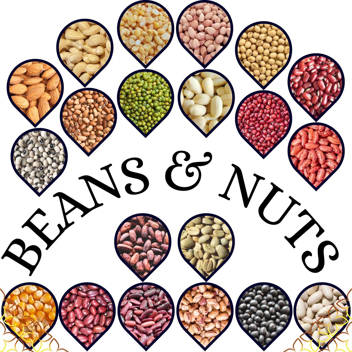 Beans and Nuts