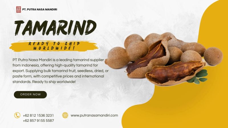 PT Putra Nasa Mandiri: Leading Tamarind Supplier from Indonesia for Global Export