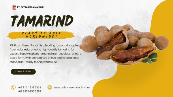 Indonesian Tamarind for Bulk Supply