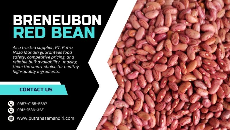 Supplying Quality You Can Rely On: Breneubon Red Beans by PT. Putra Nasa Mandiri