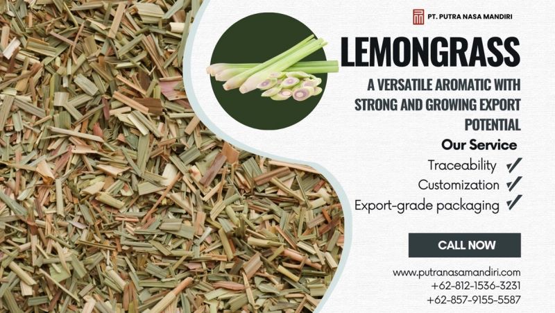 LEMONGRASS: A versatile aromatic with strong and growing export potential by PT Putra Nasa Mandiri
