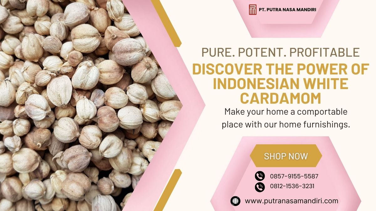 Indonesian White Cardamom for Wholesale Supply