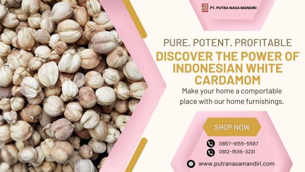 Indonesian White Cardamom for Wholesale Supply