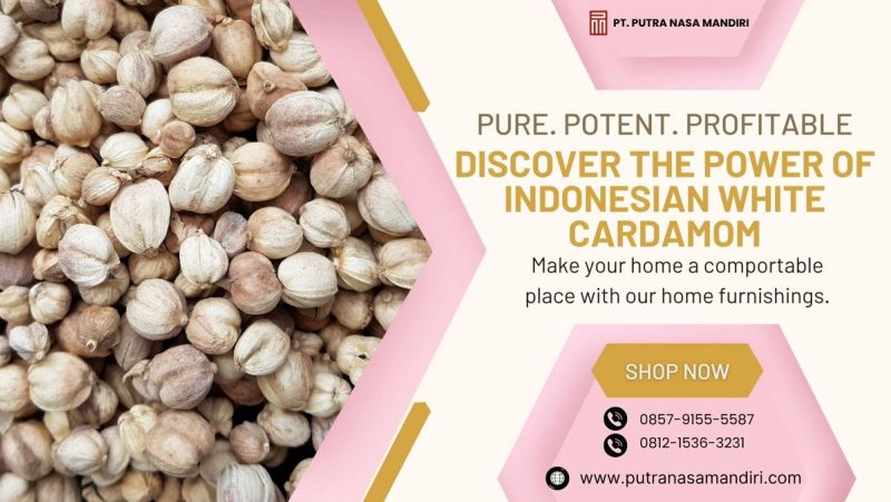 Pure. Potent. Profitable. Discover the Power of Indonesian White Cardamom