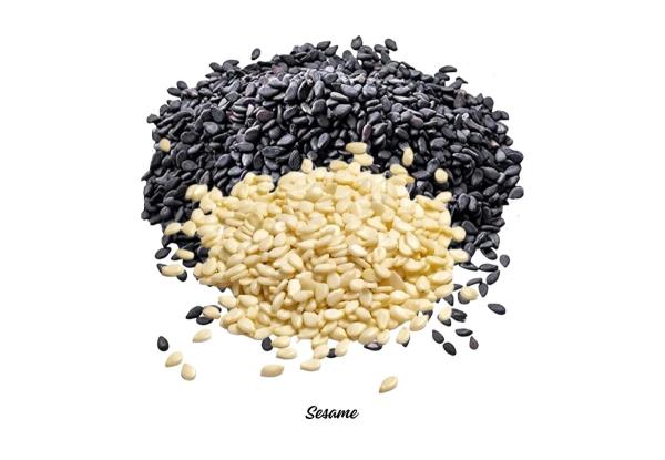 Sesame Seeds
