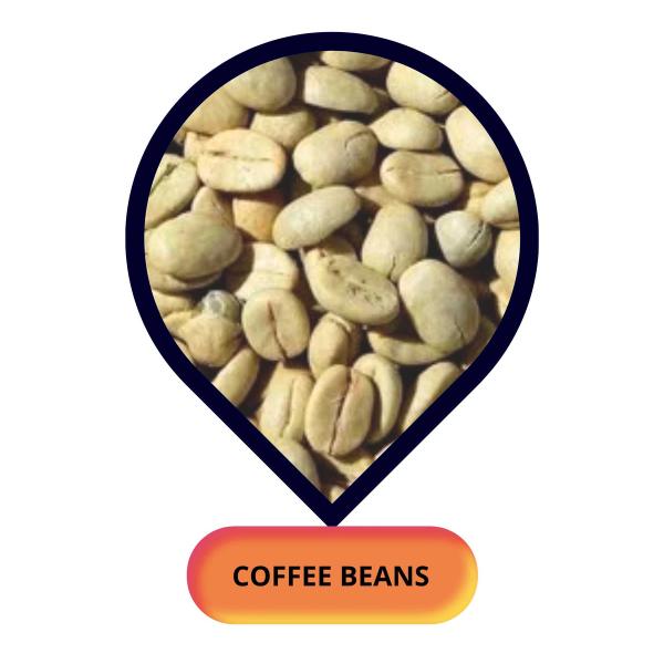 Coffee Beans