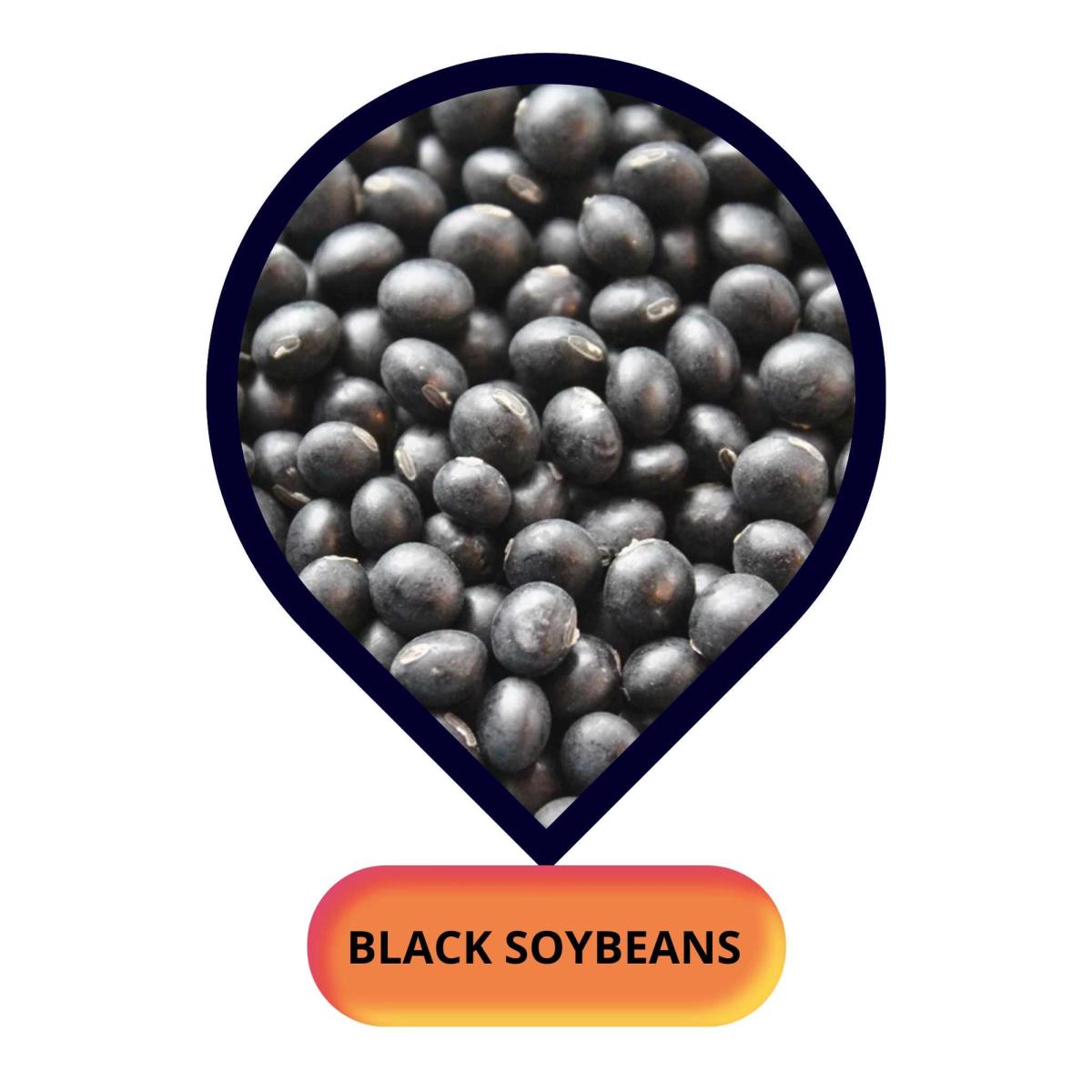 Black Soybean