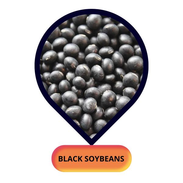 Black Soybean