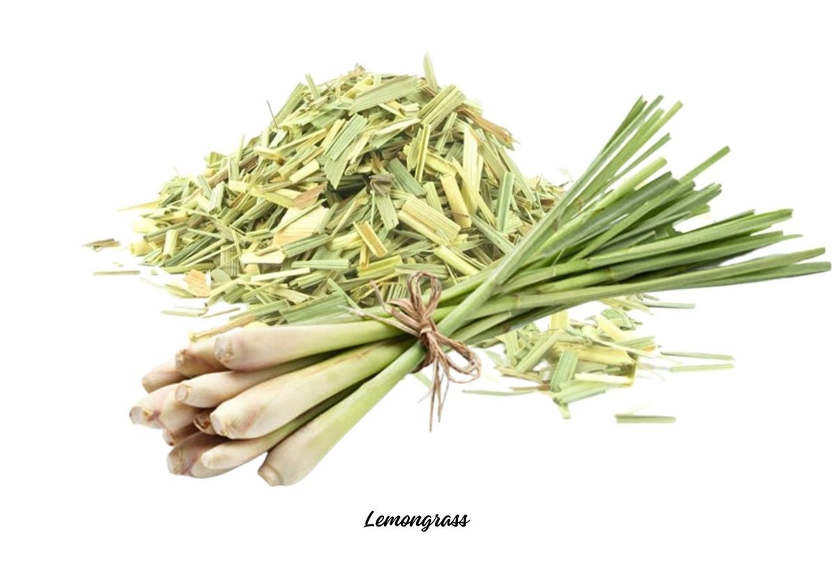 Lemongrass