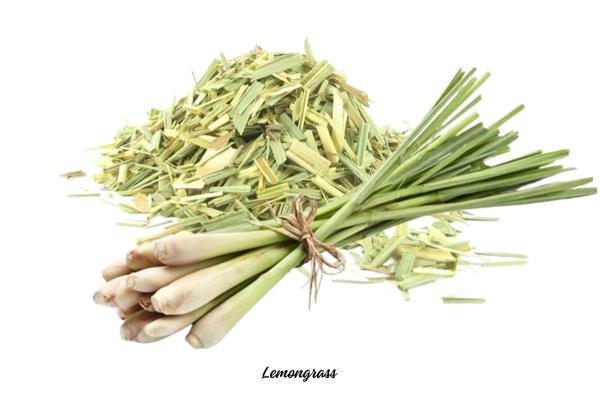 Lemongrass