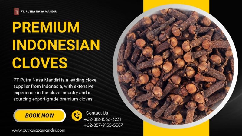 PT Putra Nasa Mandiri: Your Trusted Supplier for Premium Indonesian Cloves
