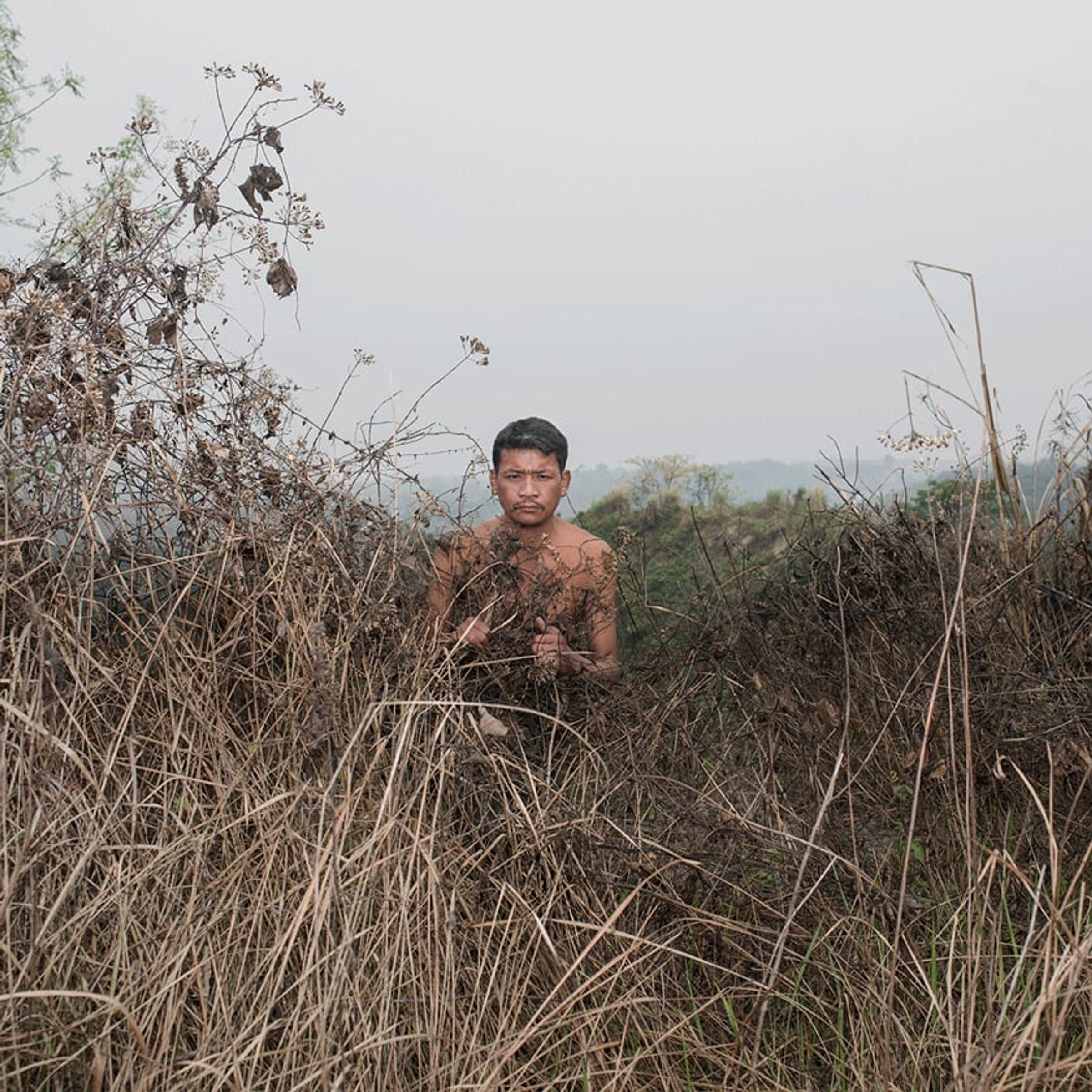 Shirtless person stands partly concealed by tall dry grasses and branches.
