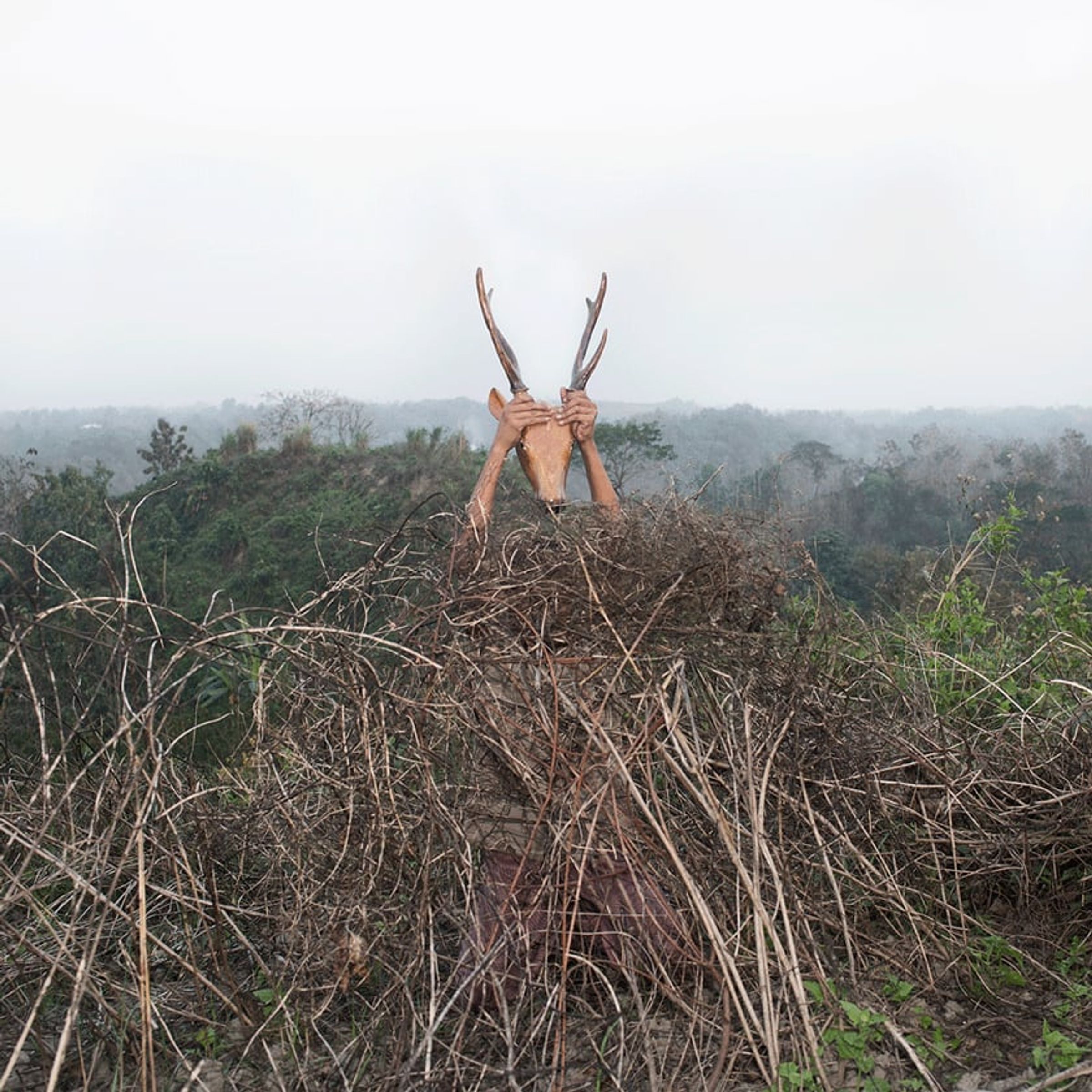 Two raised hands or branch-like forms emerge from a mound of dry brush.
