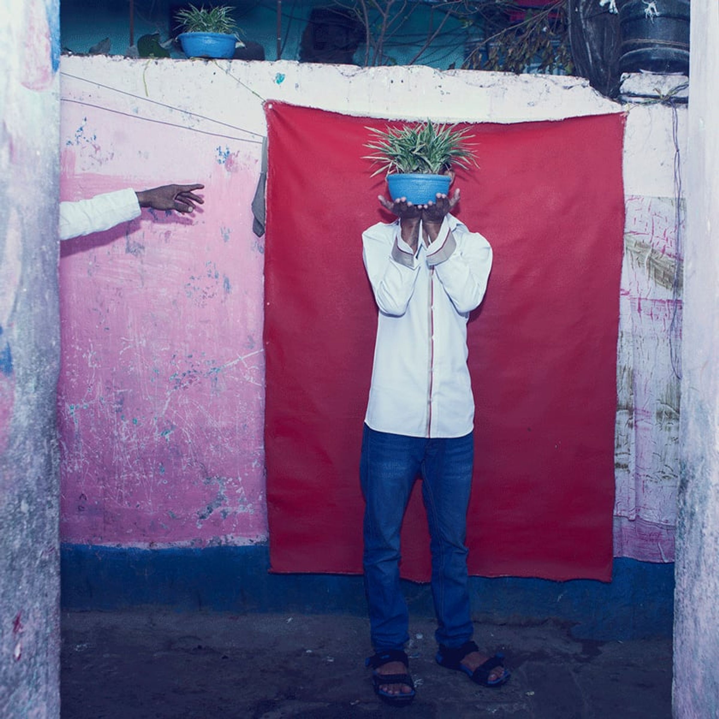 Person holds a leafy potted plant directly in front of their face.
