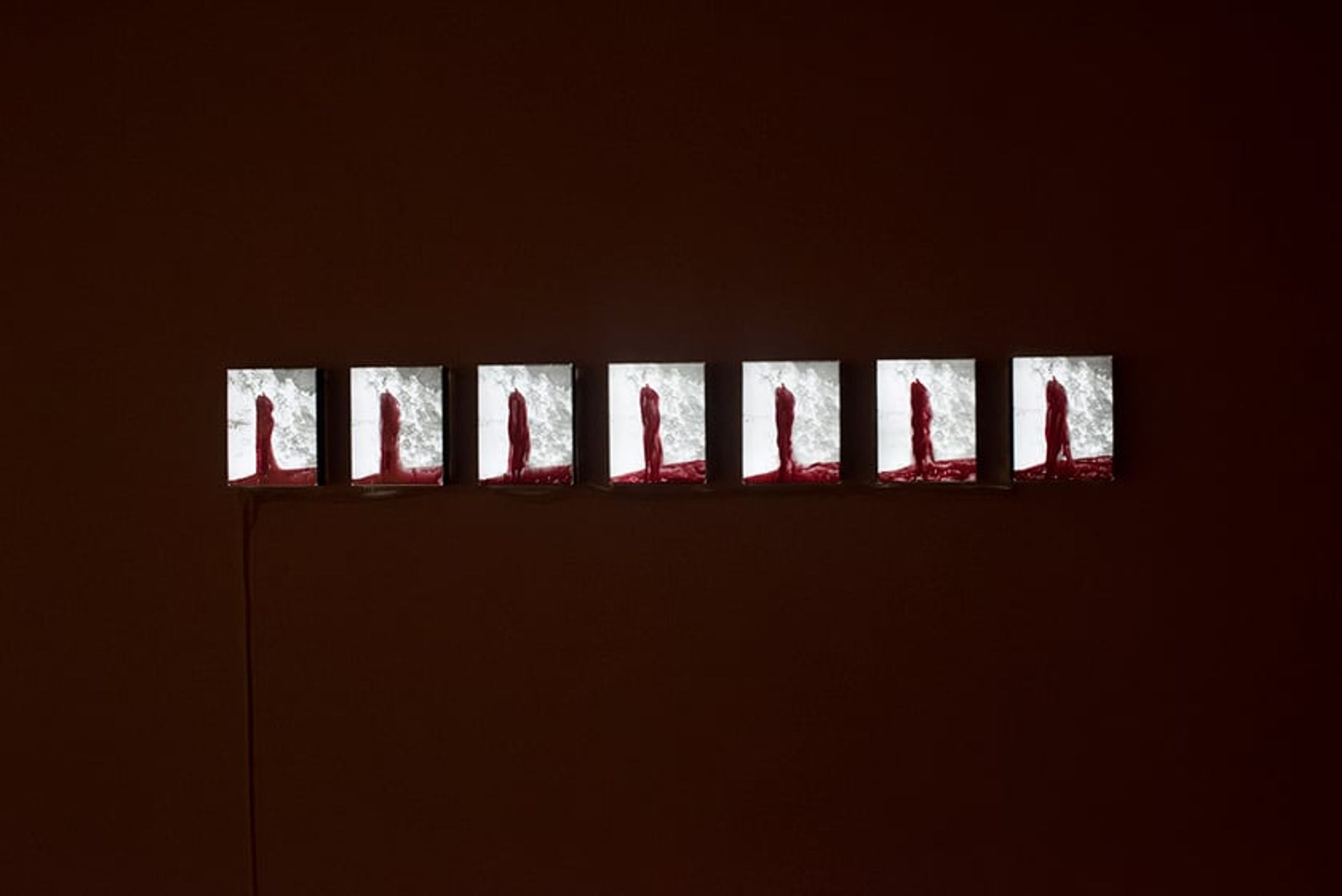 Row of glowing photographic light boxes mounted across a dark red wall.