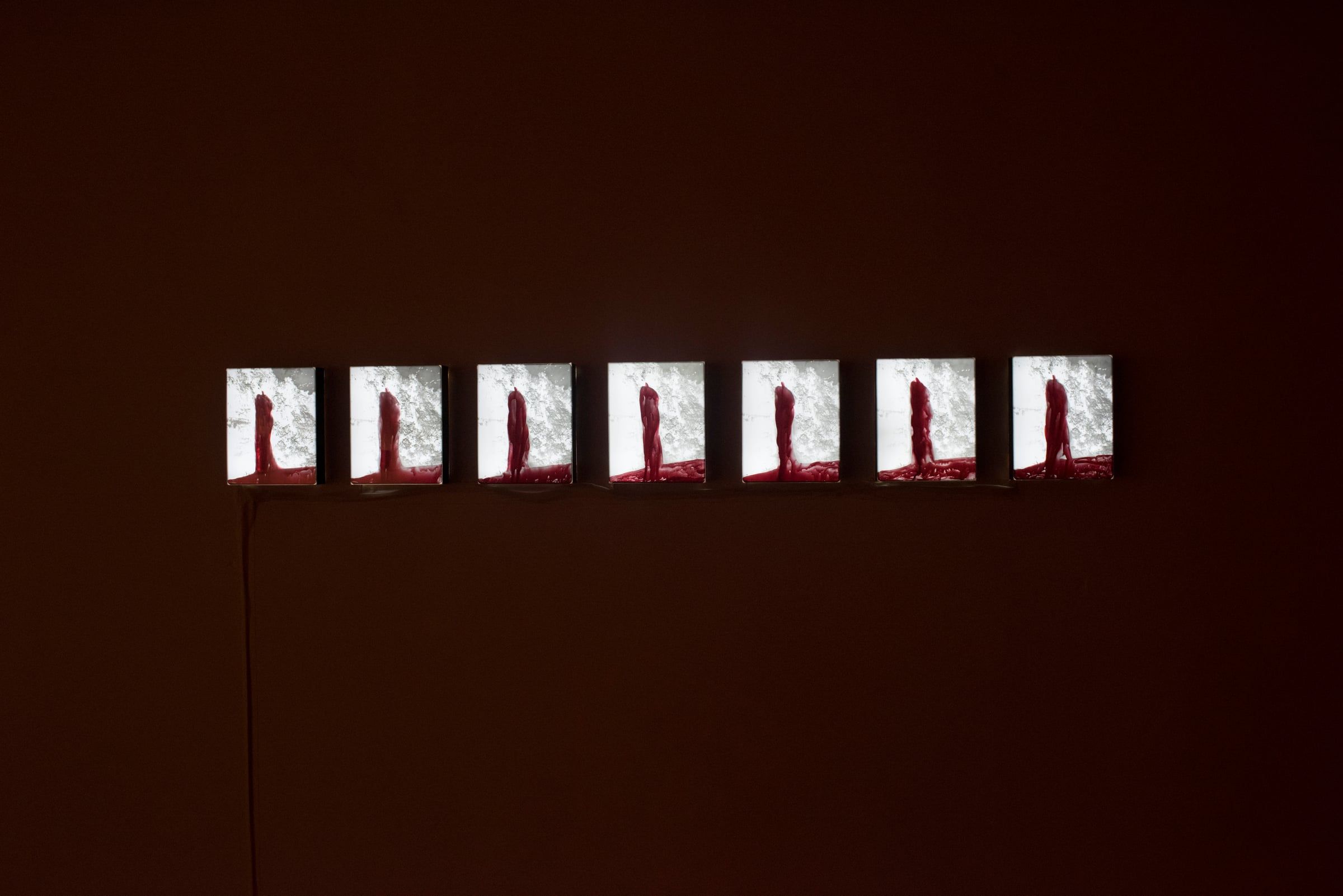 Seven illuminated panels glow in sequence across a dark red gallery wall.
