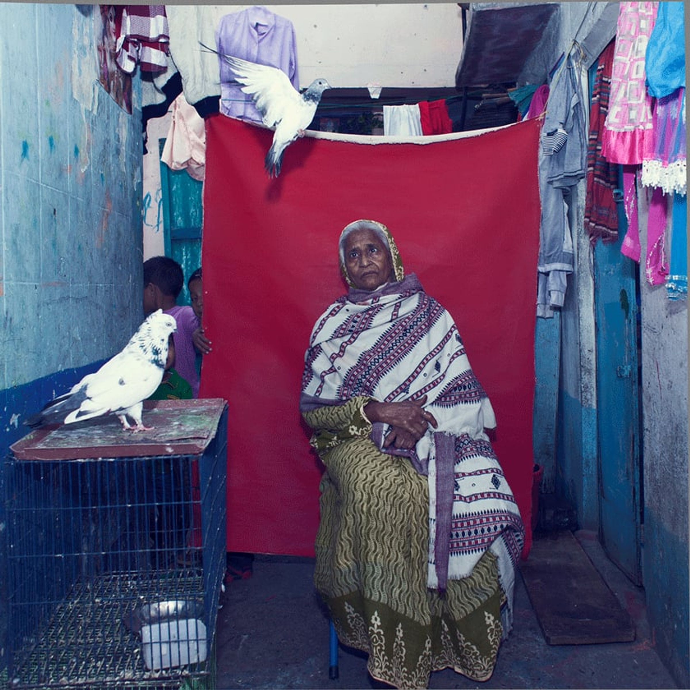 Elderly person sits beside a cage topped with two white pigeons.