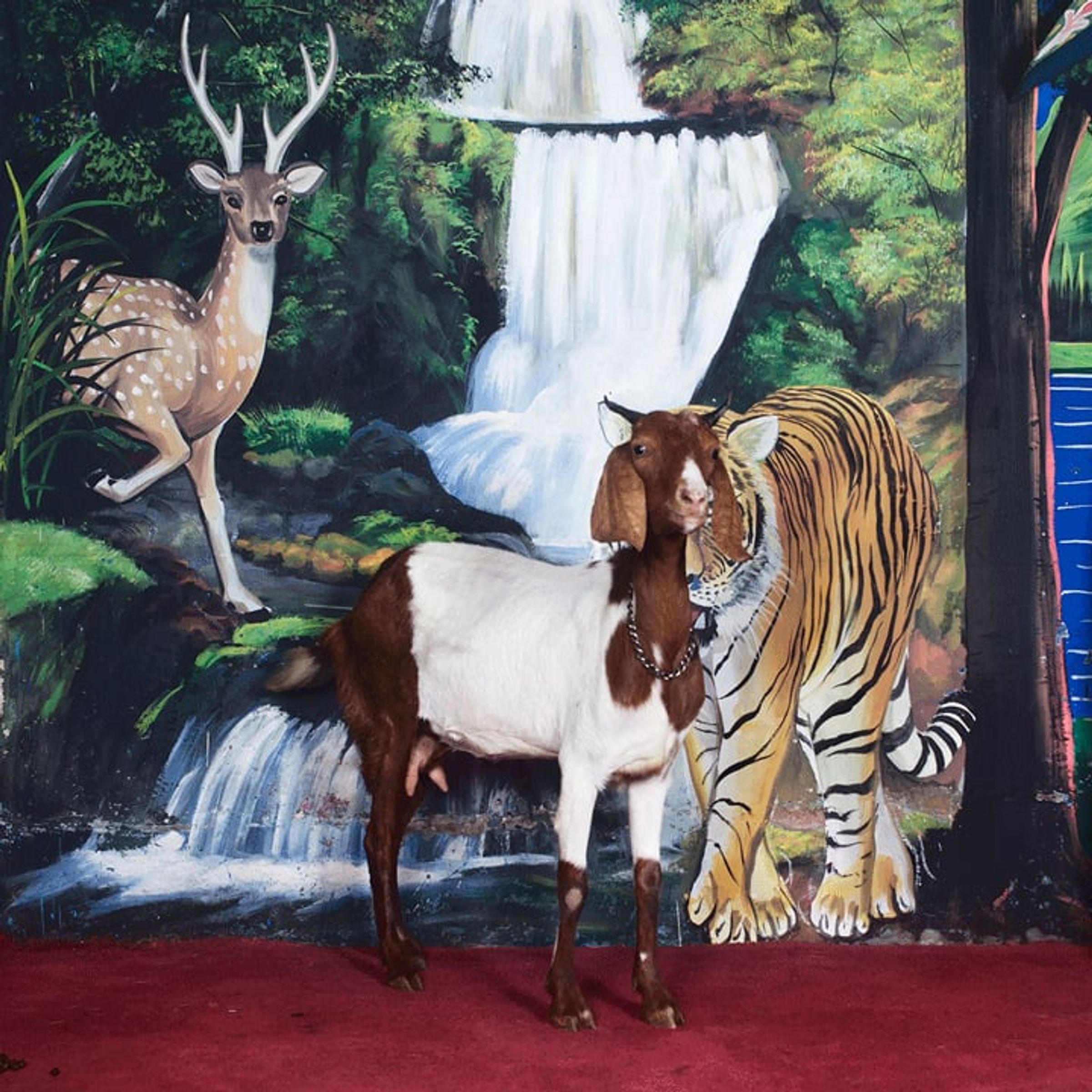 Live goat stands beside painted deer and tiger figures before a waterfall backdrop.