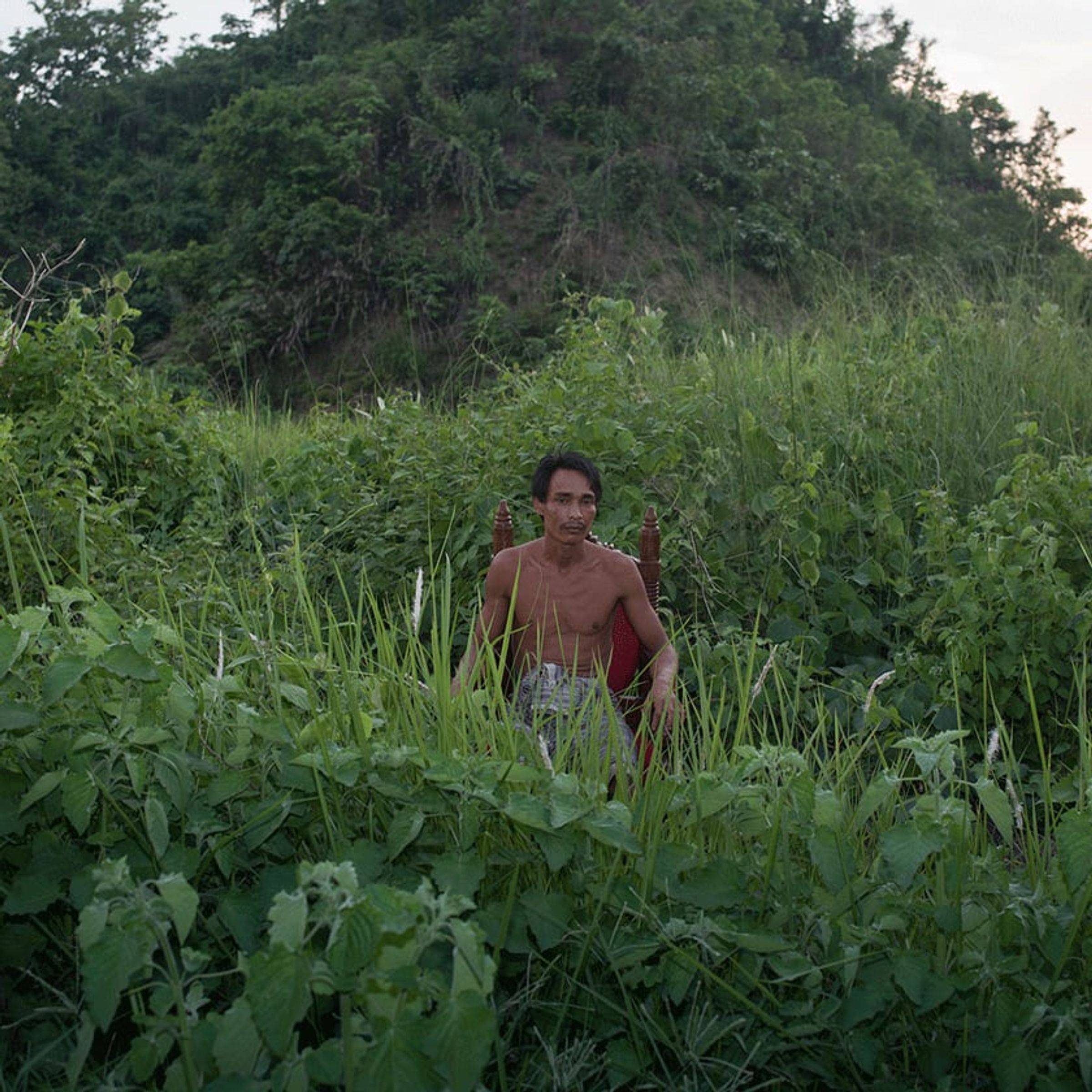 Shirtless person stands amid waist-high green vines in a cultivated field.